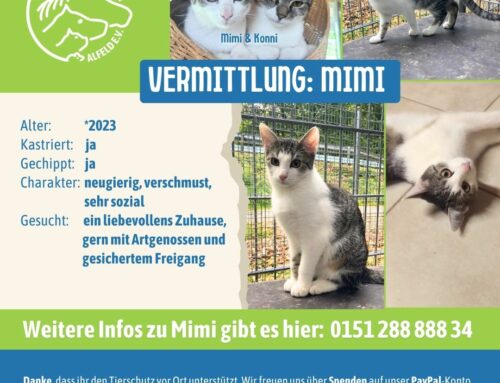 Vermittlung: Mimi