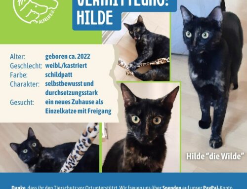 Vermittlung: Hilde