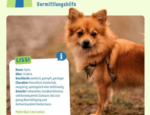 Vermittlungshilfe: Lissi