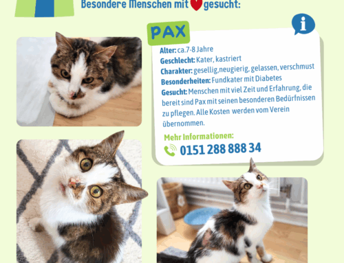 Dringend Pflegestelle gesucht!