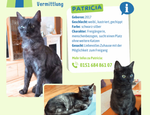 Vermittlung: Patricia